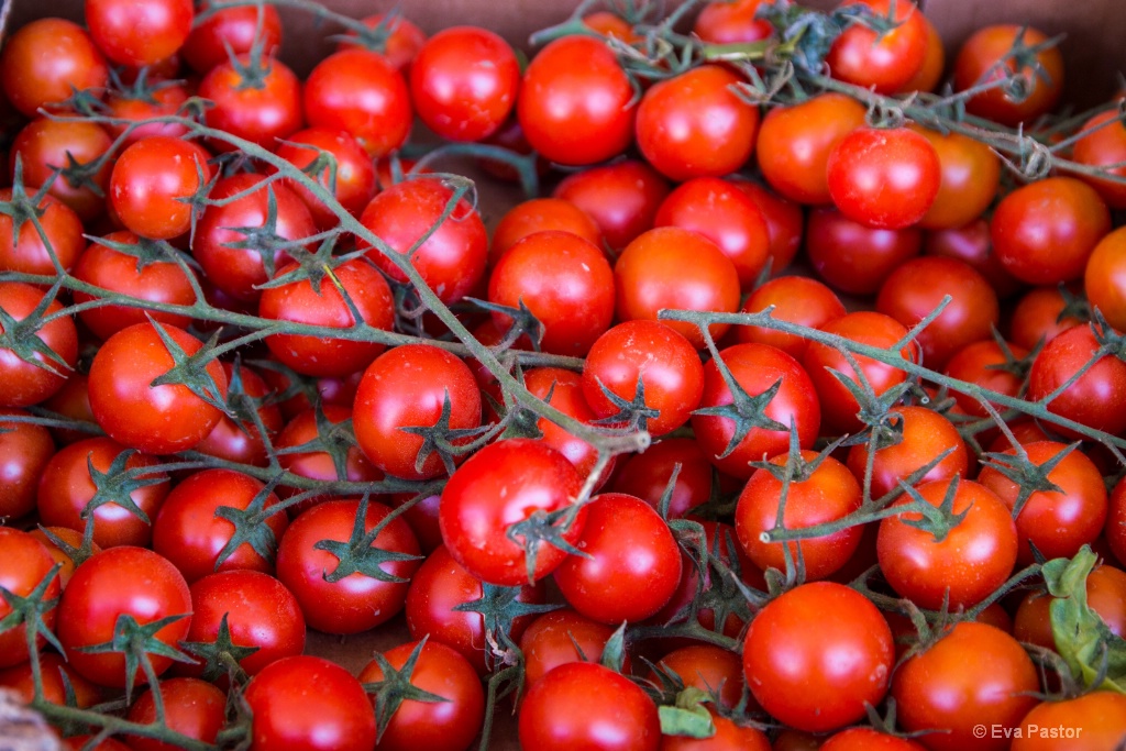 Cherry Tomatoes