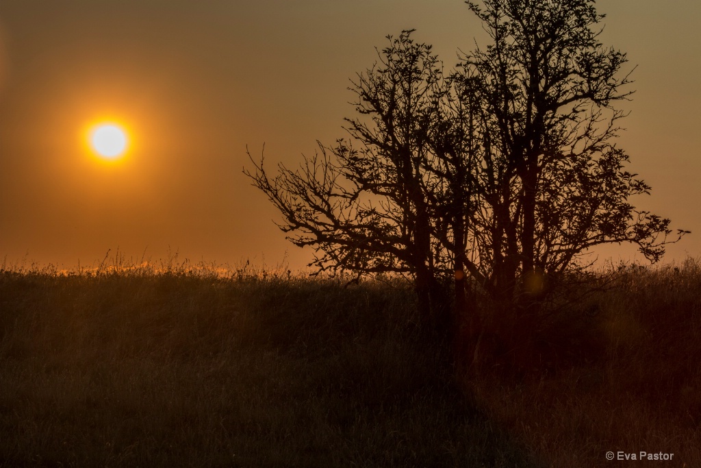 Spanish Sunset