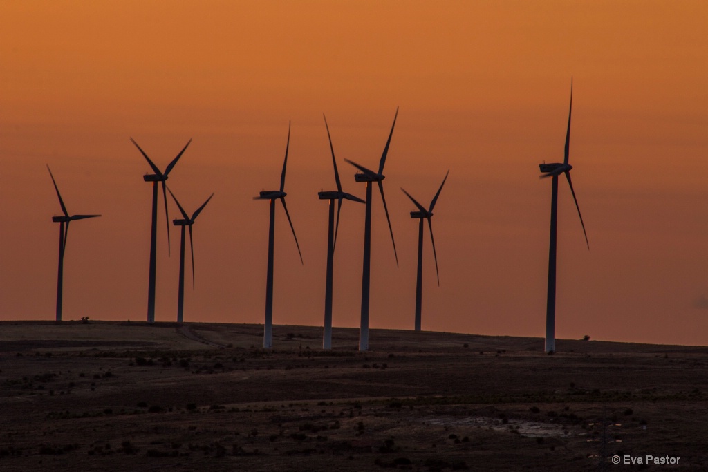 Windmill Sunset