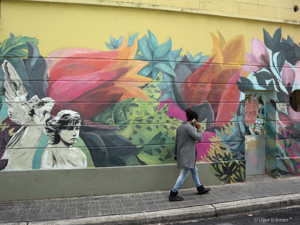 Walls of Buenos Aires