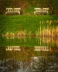 Reflections Of Pe...