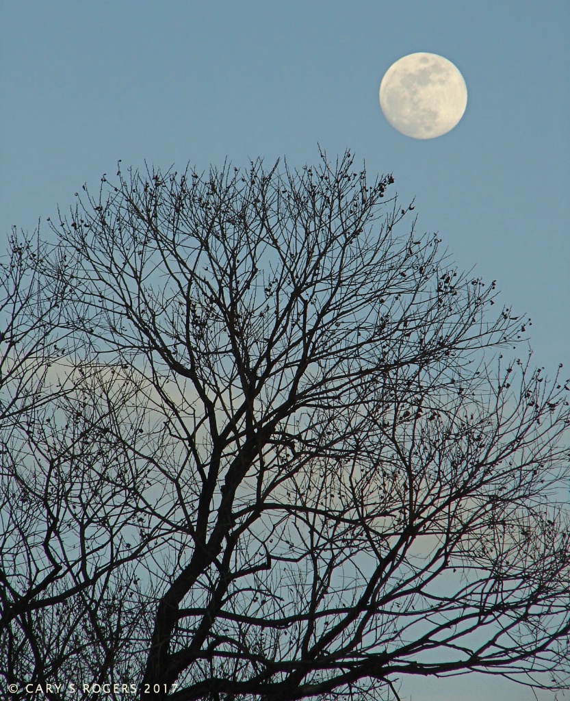 Twilight at Crown Hill