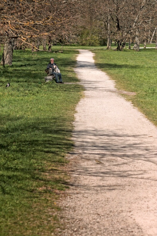 Long Path In The Park