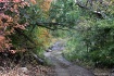 Trail In Autumn