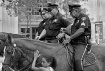 The Three Horseme...