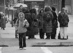 The Bus Stop