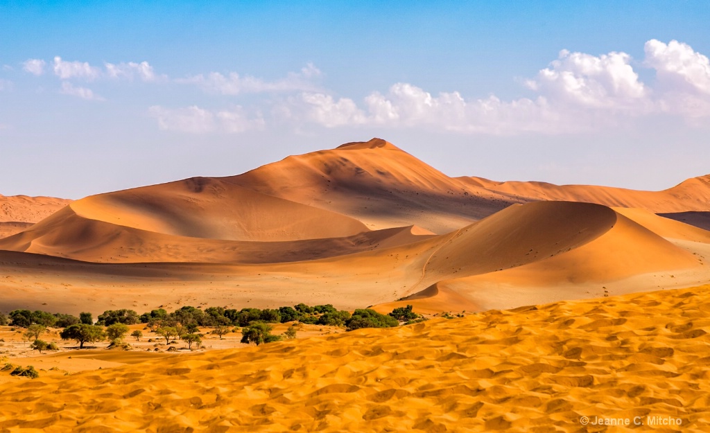 Namibia Dunes - ID: 15459510 © Jeanne C. Mitcho