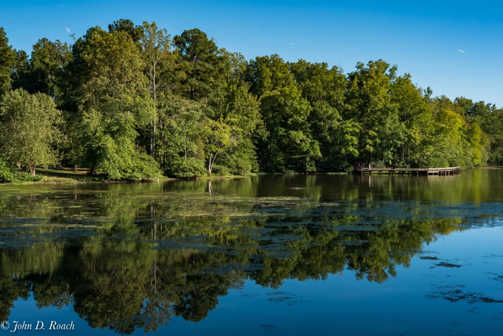 Reflections of Summer