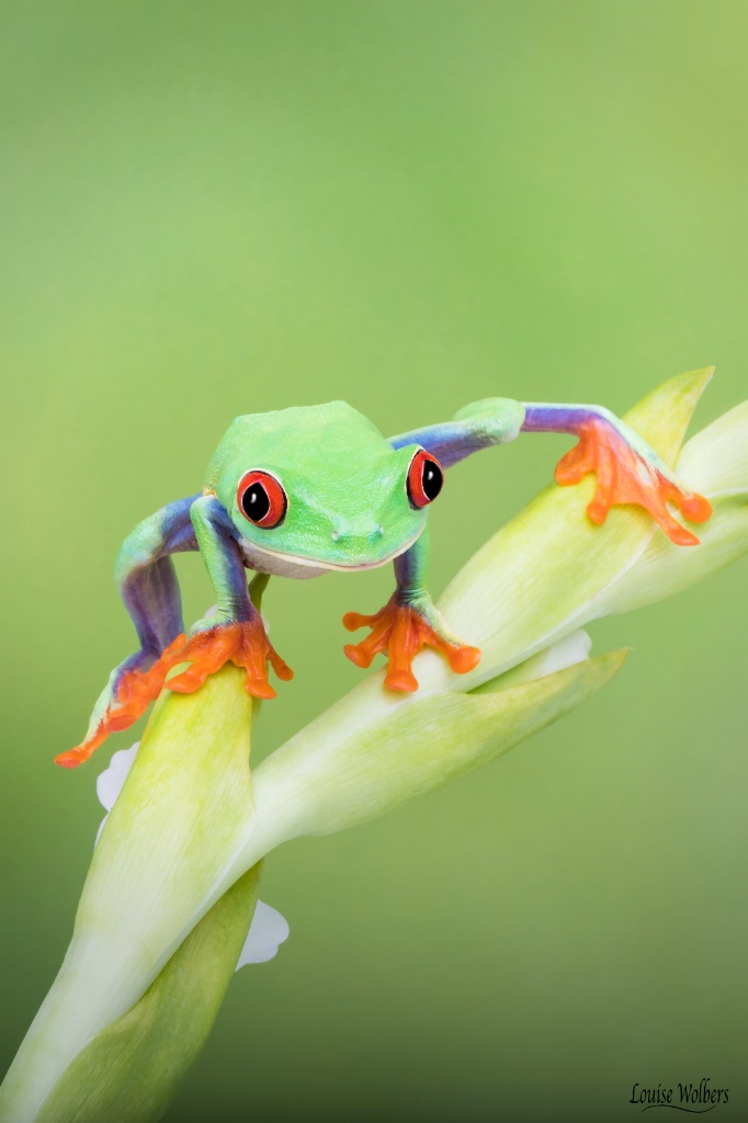 Morning Exercise - ID: 15459959 © Louise Wolbers