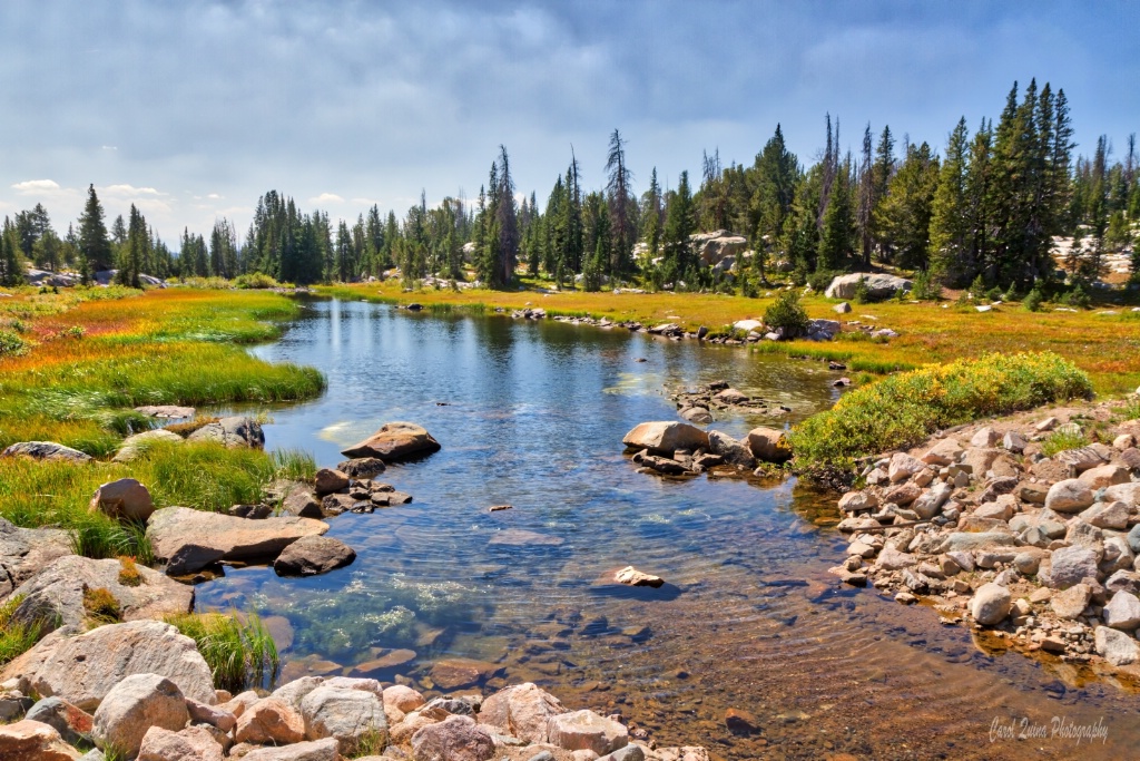 High Country Summer