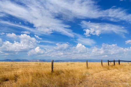 Wild Wyoming Sky