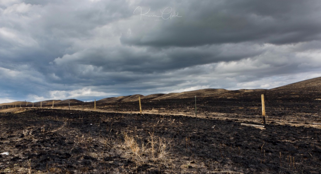 Burnt Field