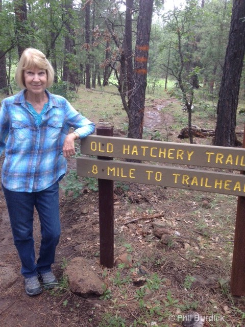 Old Hatchery Trail Show Low AZ.JPG - ID: 15460686 © Phil Burdick
