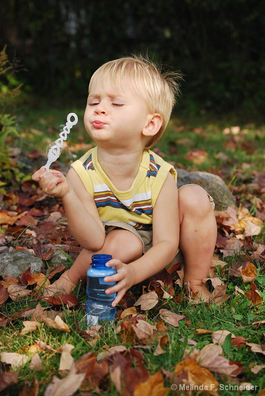 Blowing Bubbles