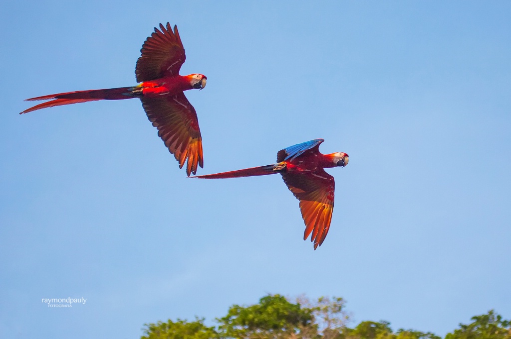 Flying Over