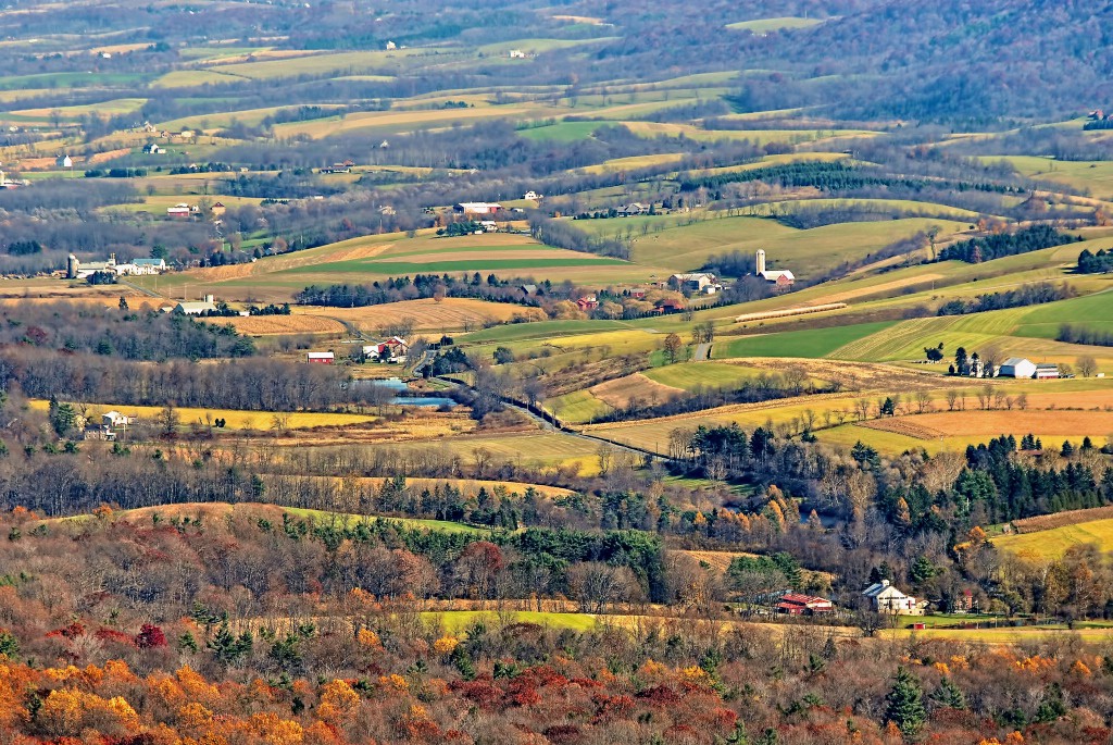 Fall Farmscape