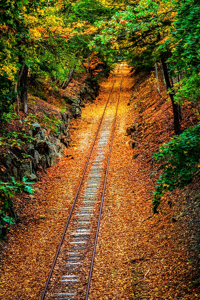 Tracking Autumn