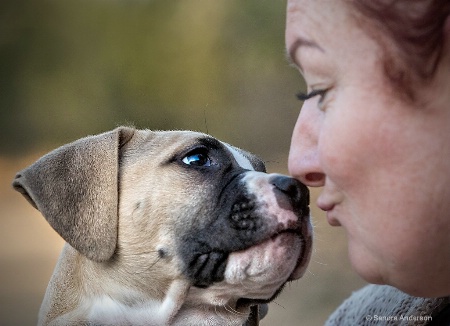 Puppy Love