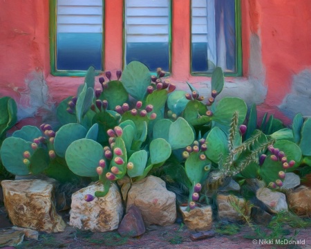 Prickly Pear and Window