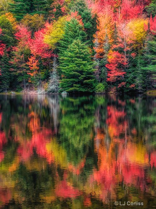 at the pond