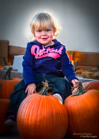 Little Pumpkin Vendor 