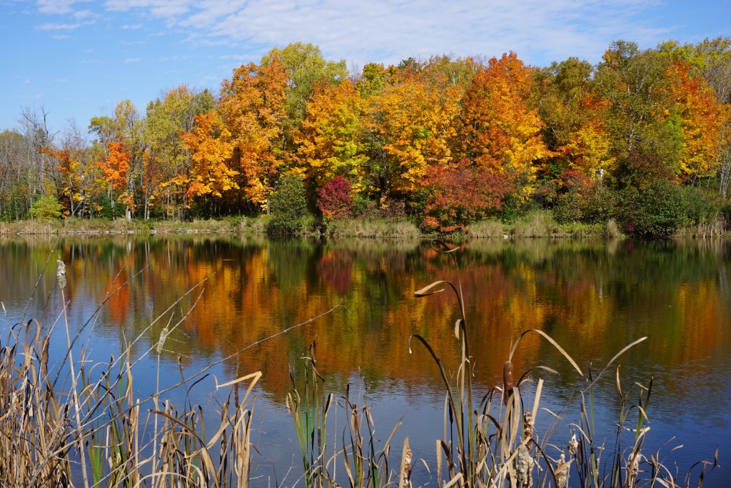 Northern Reflections