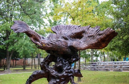 Root Carved Eagle 