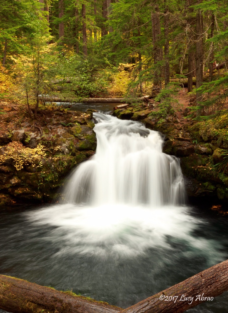 Fall colors at Whitehorse Falls