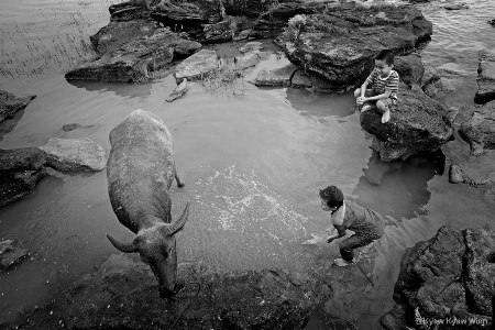 The Kids and Buffalo