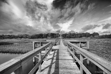 Boardwalk Over the Marsh