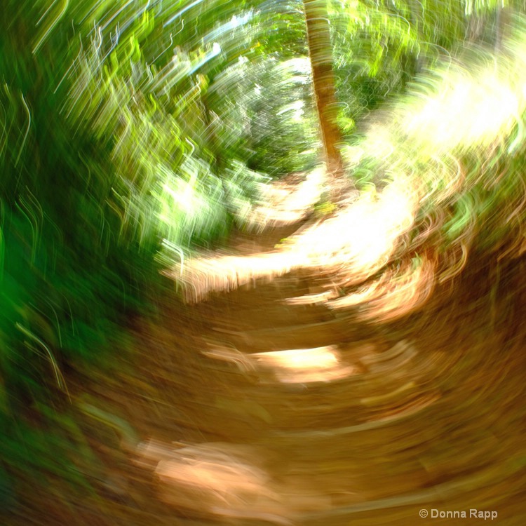 jungle path swirl