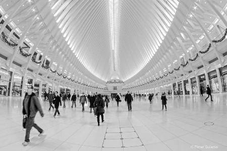 Oculus Train Station NYC