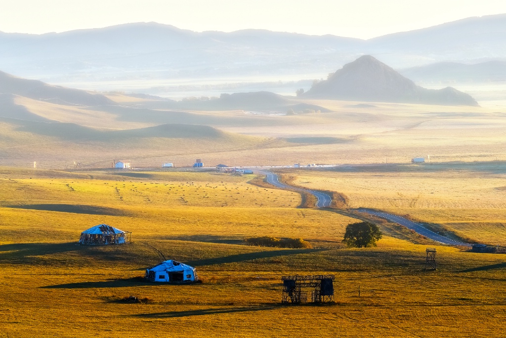 Grassland terrain