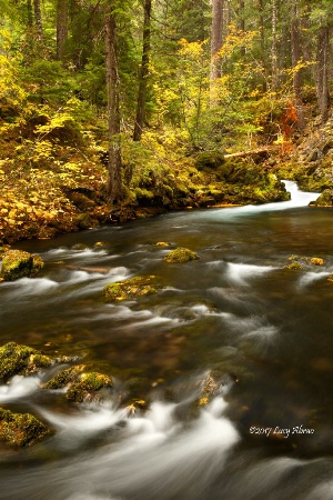 Fall downstream