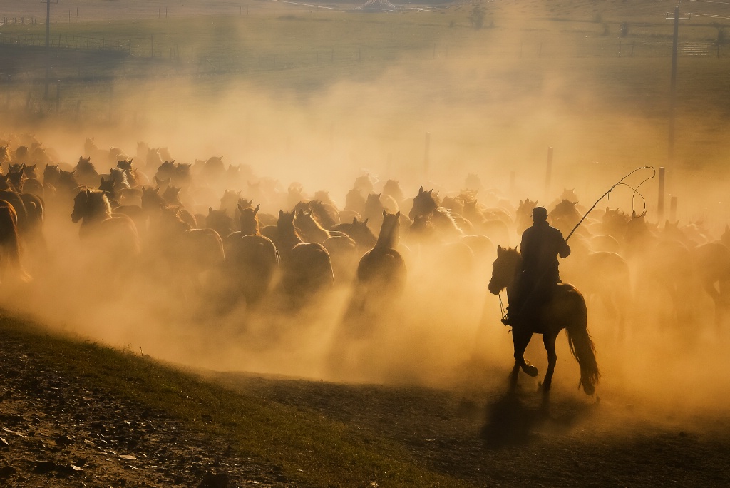 Horse rancher life