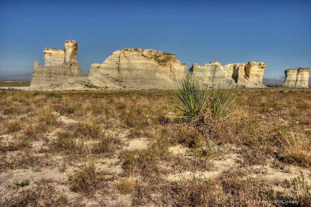 Sentinels of the Prairie