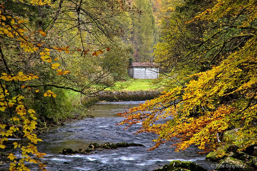 Fall colors