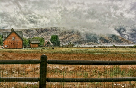 ~ Stormy Day in the Country ~