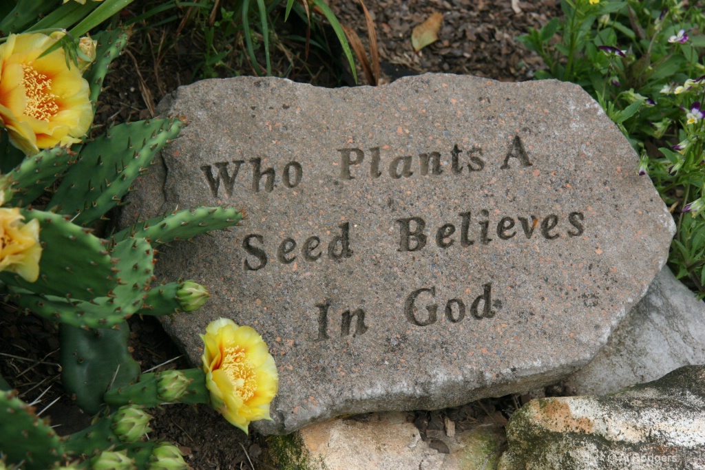 "Whoever plants a seed..."