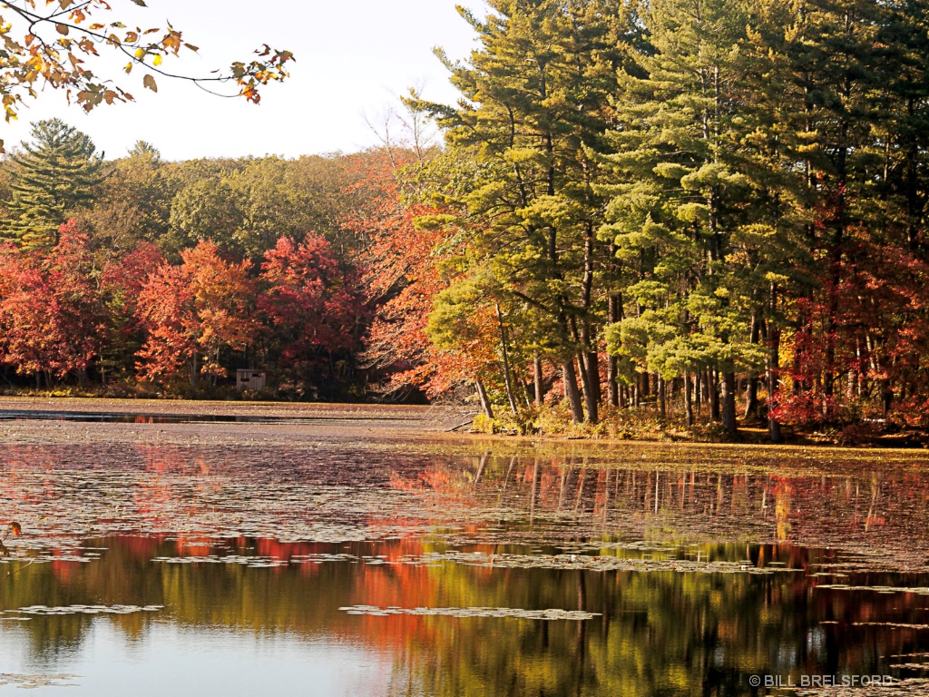 October on Lake Marie