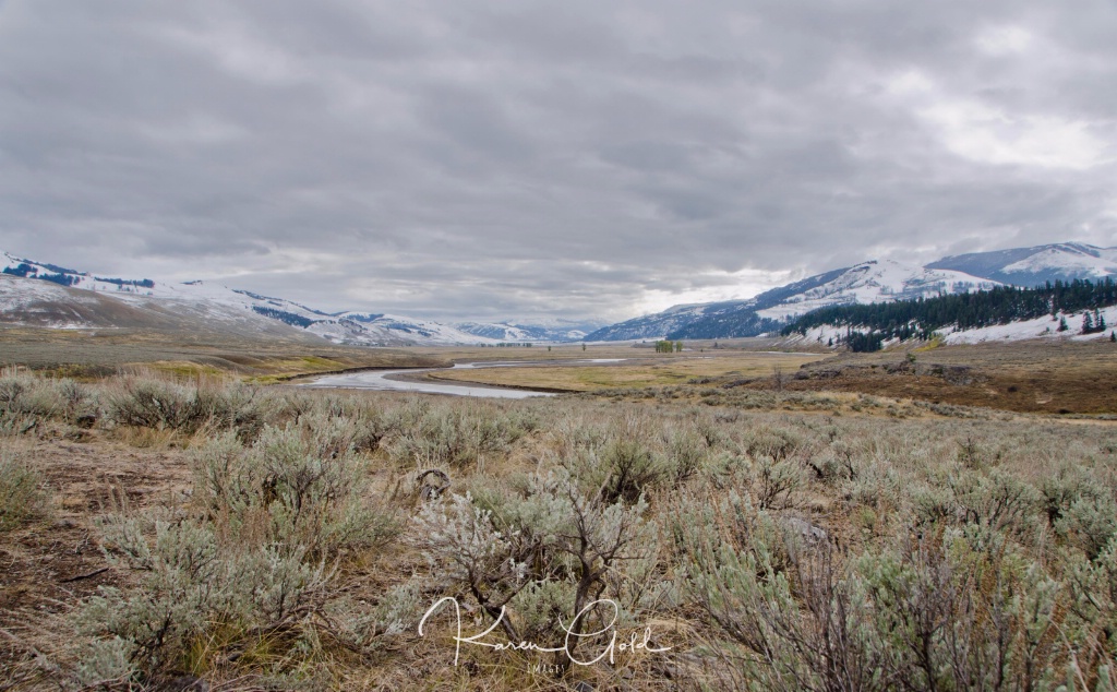 Lamar Valley