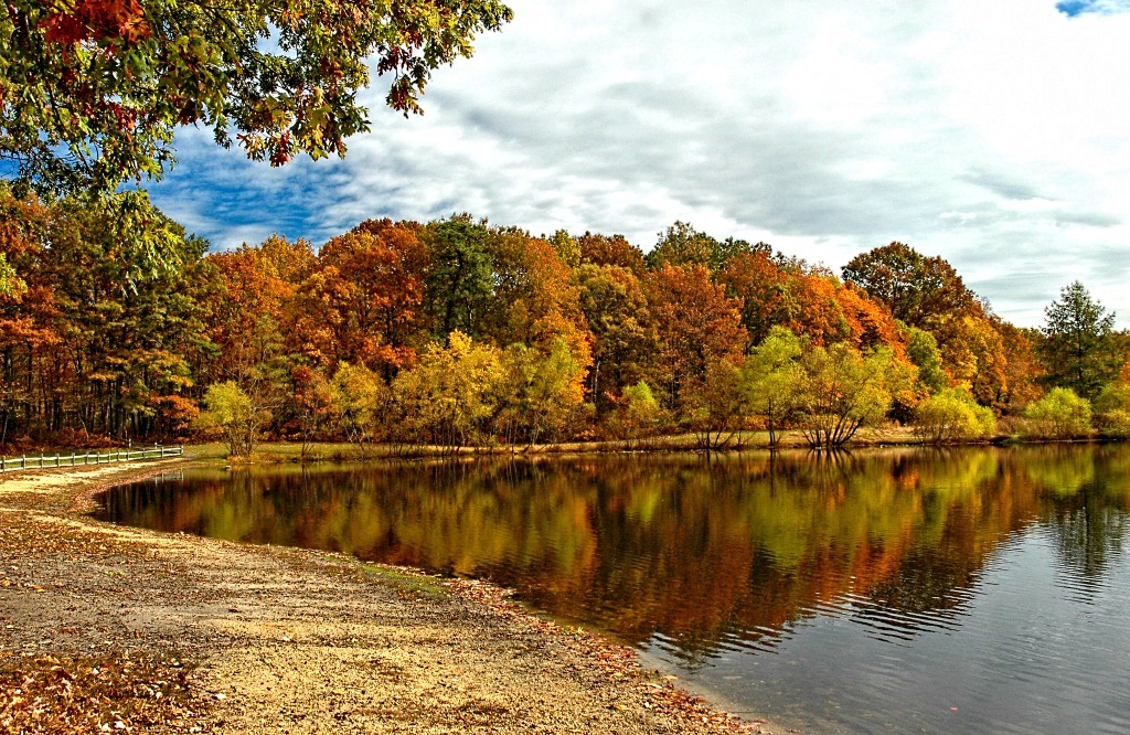 Autumn Arrives