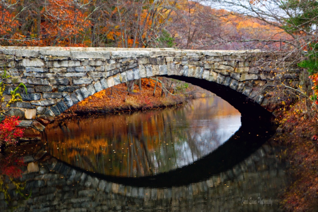 Bridge in Autumn