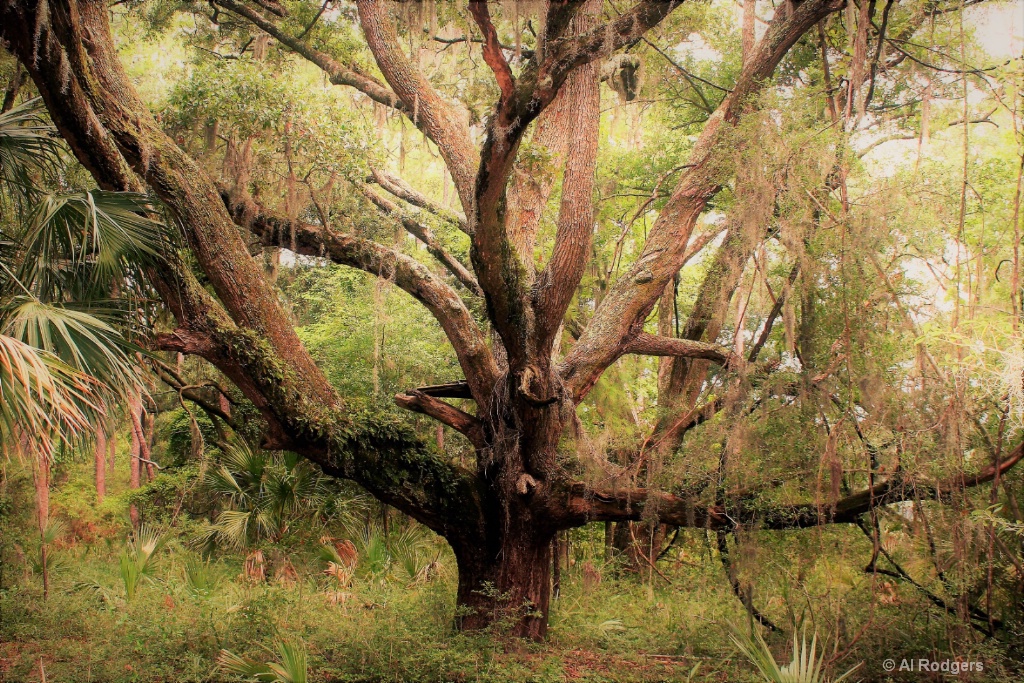 Hilton Head