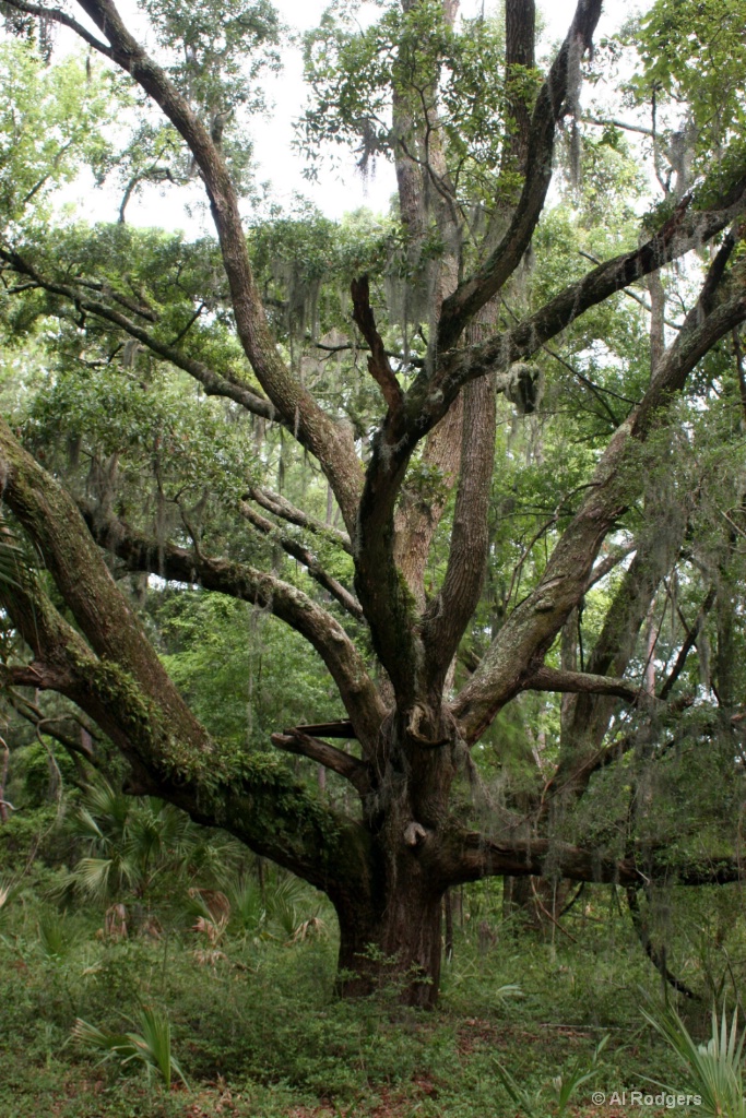 Hilton Head