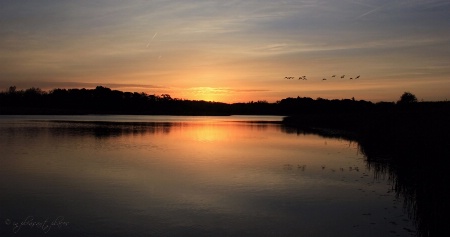 Buell Lake Sunrise