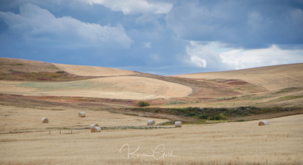 Hay or Hey!