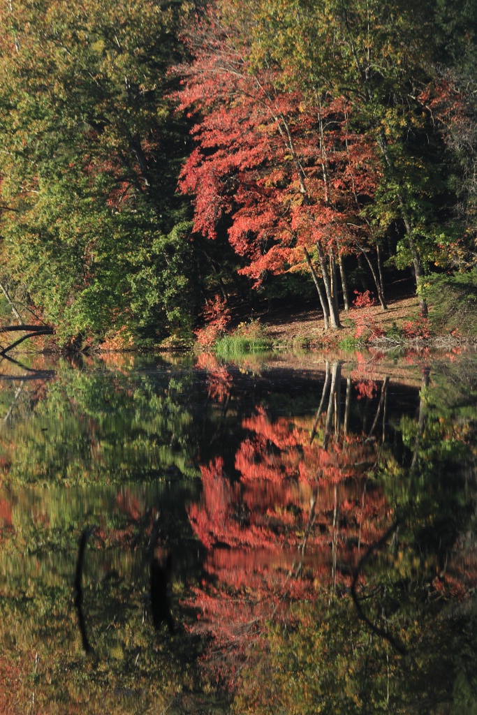 fall fishing spot 