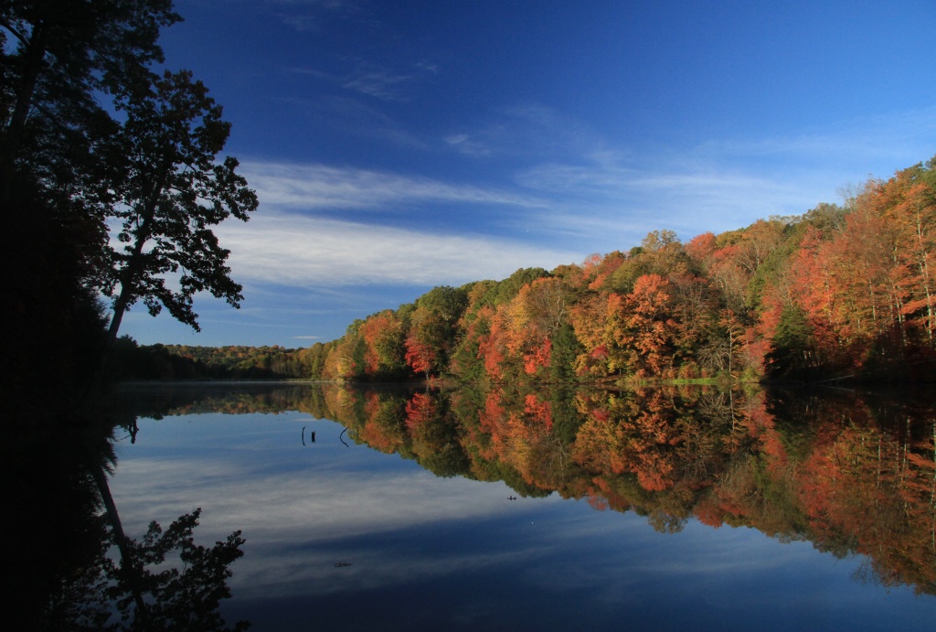 rose lake 