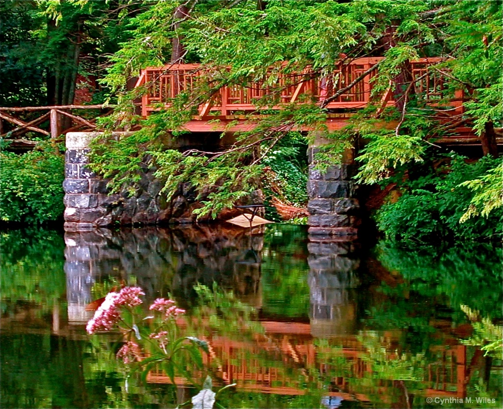 Carolina Foot Bridge & Reflections